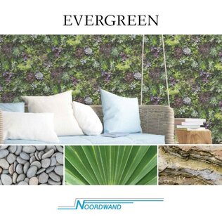 Noordwand Evergreen