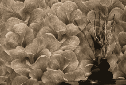 Dutch Wall Decor HHP - Fashion for Walls 5