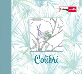 Colibri