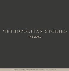 The Wall - Metropolitan Stories