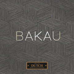 Dutch First Class Bakau