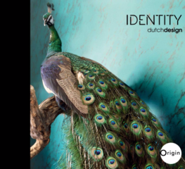 Origin Identity