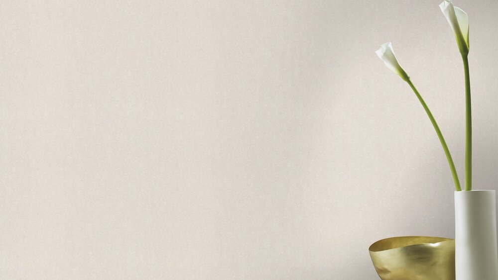 Rasch Kerala 501117 (Metallic Glans Glad)