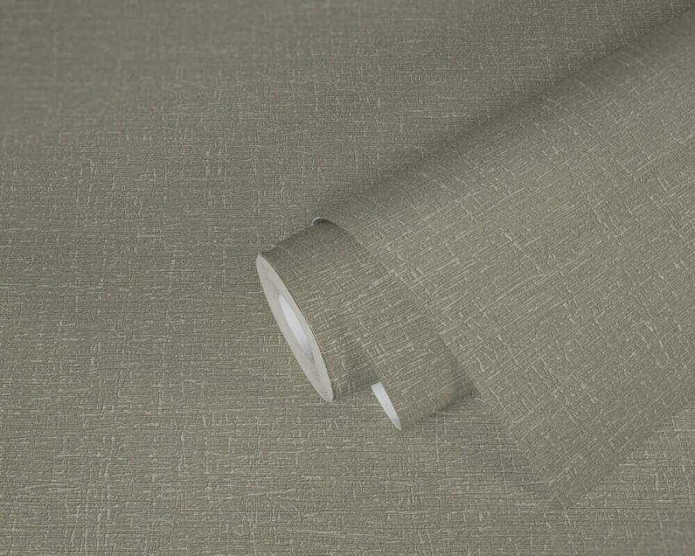 AS Creation Stories of Life - 39648-6 / 396486 Bruin