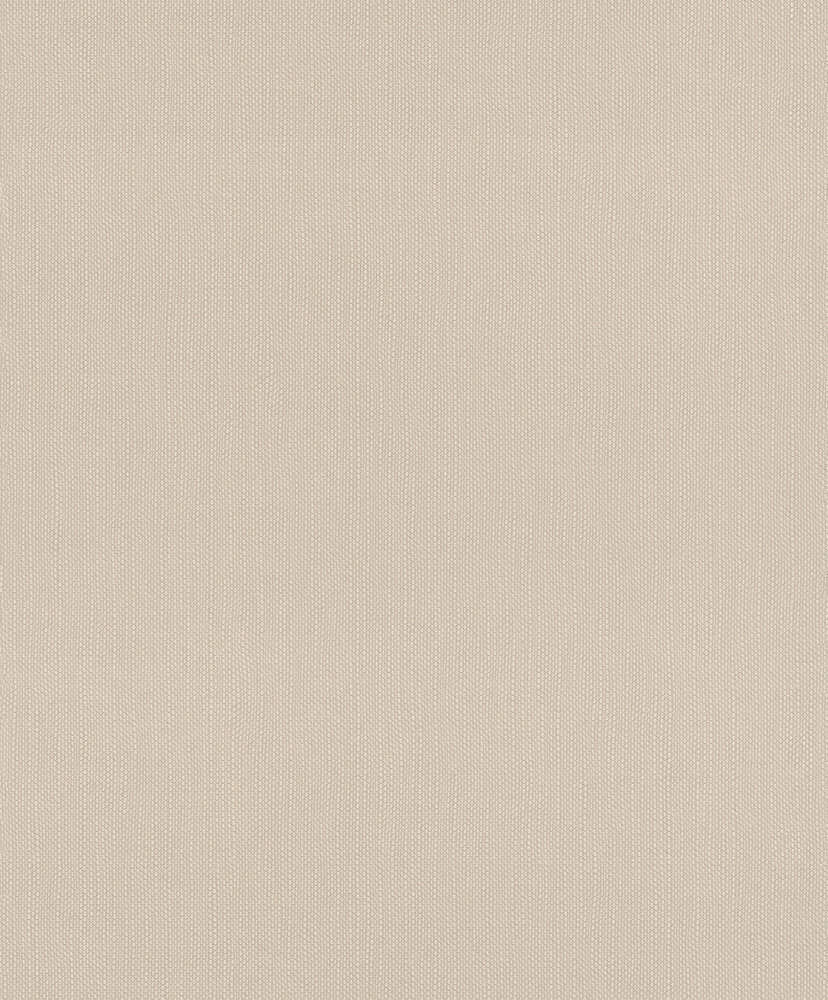 Rasch Deco Style 312355 Bruin