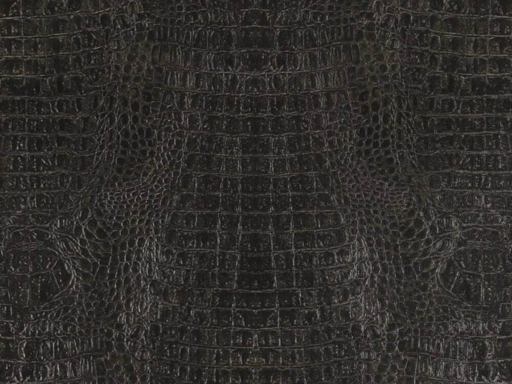 BN Wallcoverings Curious / Inspire 17950 - Zwart