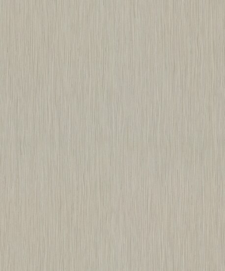 Noordwand Assorti 2024 56510 Bruin Behang