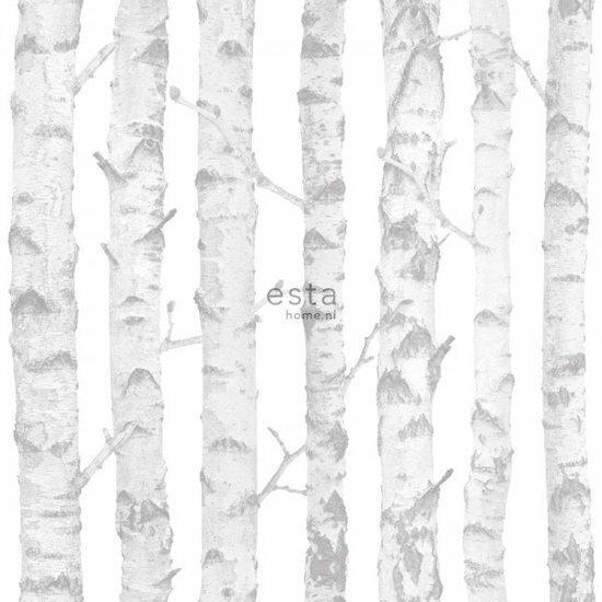 Esta Little Bandits 138944 - Zilver - Wit - Grijs Behang