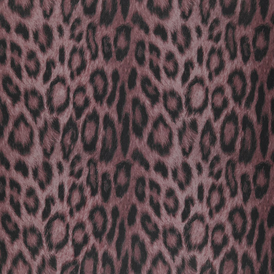 Dutch First Class Jungle Club PANTHERA35 Behang