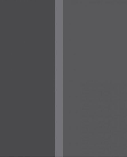 Eijffinger Stripes+ 377167 Behang