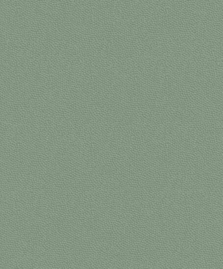 Casadeco Belle Epoque BEEP82287311 - Groen Behang