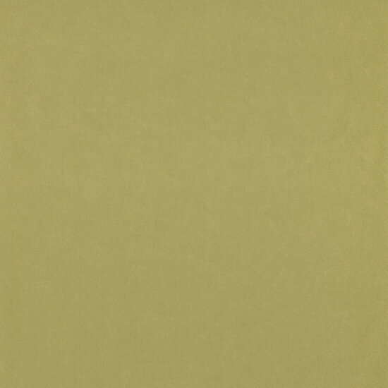 Casadeco So Color 4 SCOL28657112 - Groen Behang