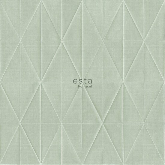 Esta Blush 148713 - Groen Behang