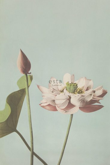 Esta Blush 158890 - Turquoise - Roze Behang