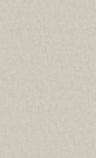 BN Van Gogh 2019 220072 - Beige Behang