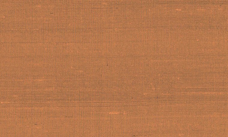 Arte Paleo 50514 Behang