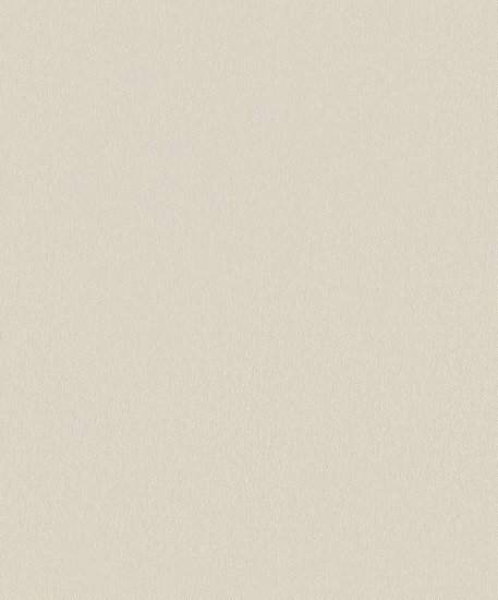 BN Wallcoverings Zen 220260 - cr‚me Behang