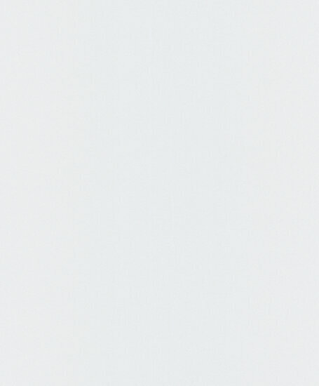 Dutch Wallcoverings Ciara JF1215 wit Behang