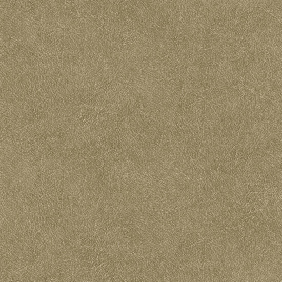 HookedOnWalls TAHITI LEATHER PLAIN TA25022 Behang