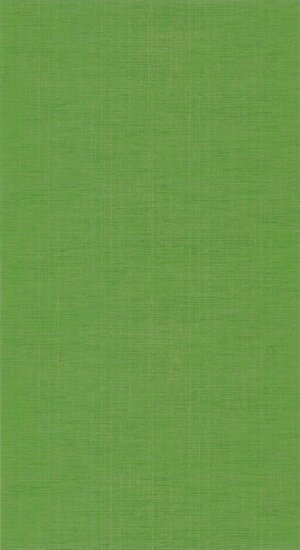 Casadeco Five O&#039;Clock FOCL85847394 - Groen Behang