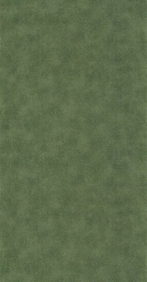 Casadeco Woods WOOD26217505 - Groen Behang