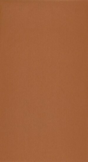 Casadeco Gallery GLRY25233307 - Oranje Behang