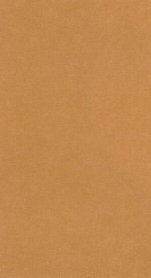 Caselio Around ARN64522100 - Bruin Behang