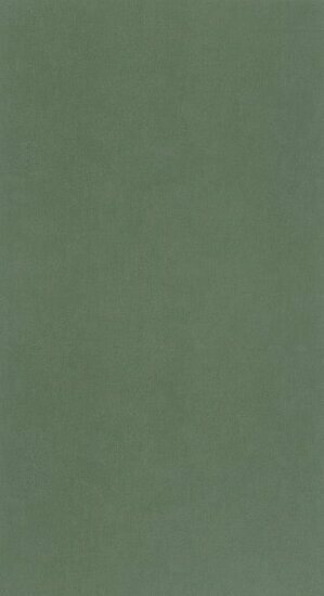 Caselio Around ARN64524044 - Groen Behang