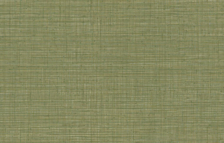 Arte JV800 Tierra UNITO TIERRA 6655 Behang