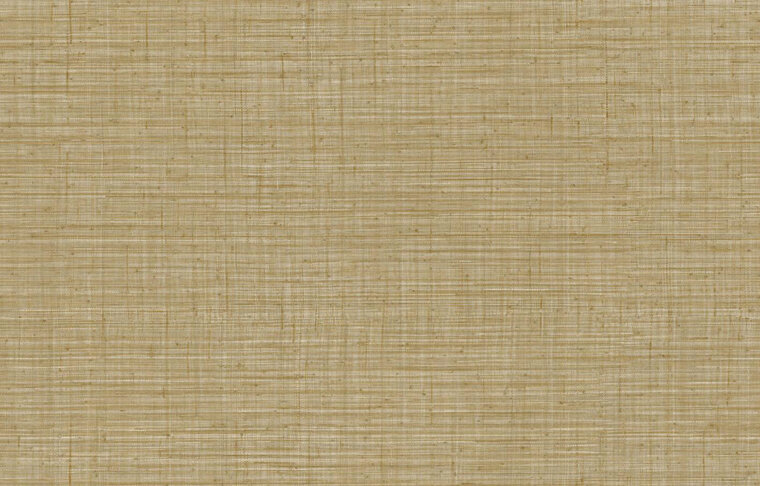 Arte JV800 Tierra UNITO TIERRA 6660 Behang