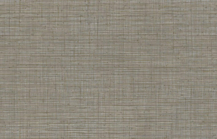 Arte JV800 Tierra UNITO TIERRA 6665 Behang