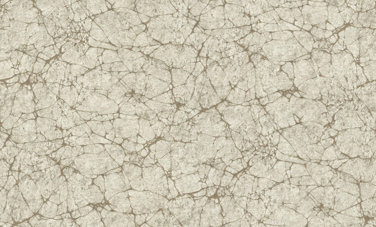 Dutch First Class Materica 73112 Behang