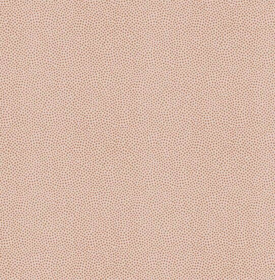 Dutch First Class Amazon River AR7006 Beige Behang