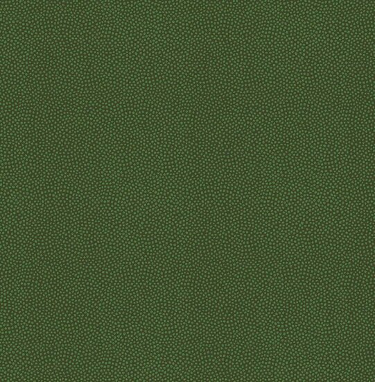 Dutch First Class Amazon River AR7007 Groen Behang