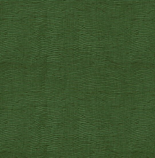 Dutch First Class Amazon River AR9107 Groen Behang