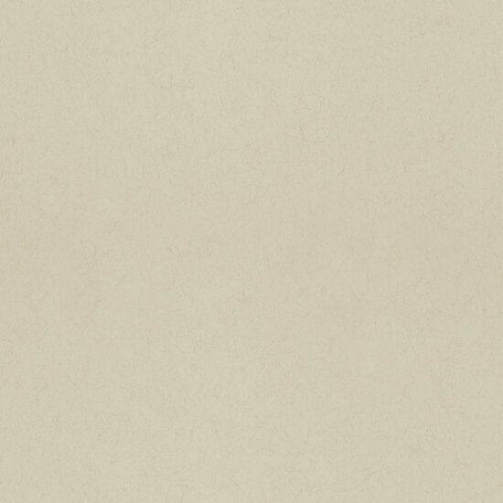 Dutch First Class Midbec F&auml;gring 77013 Flax Behang