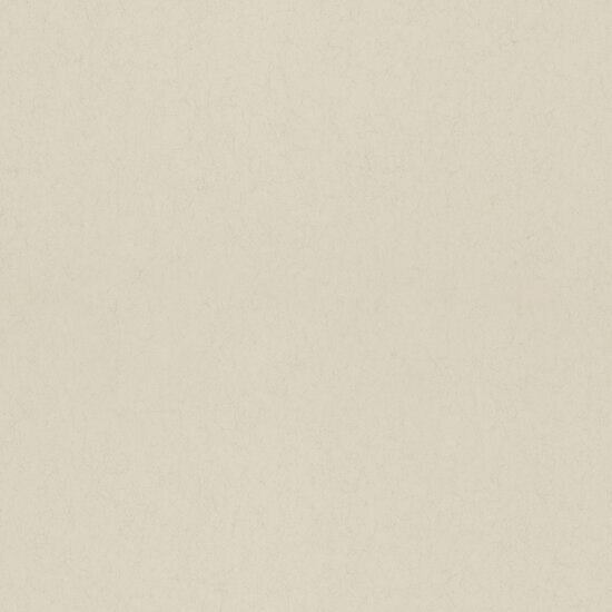 Dutch First Class Midbec F&auml;gring F77014 White Pepper Behang