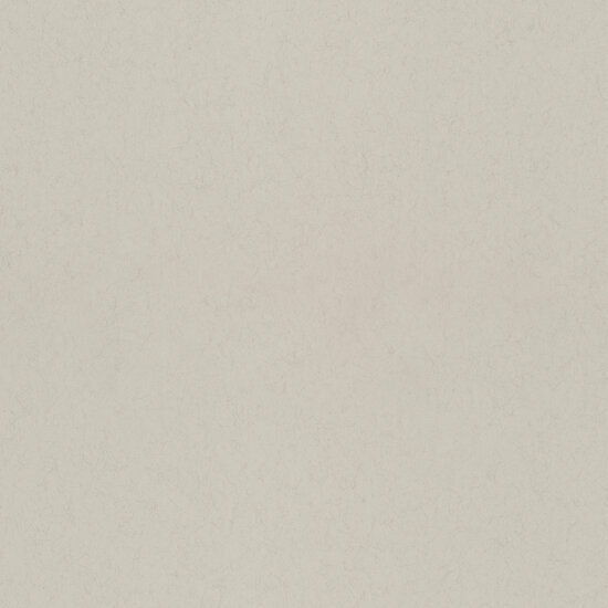 Dutch First Class Midbec F&auml;gring 77021 Almond Behang