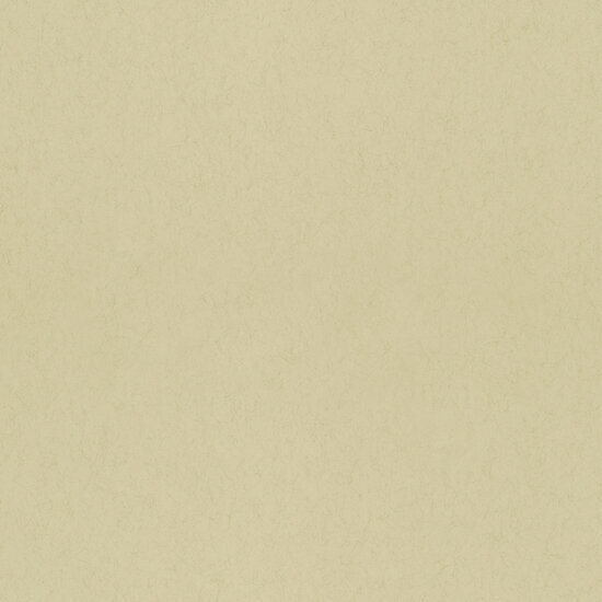 Dutch First Class Midbec Kulör FC77010 Behang