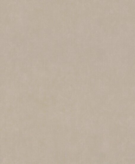 Rasch Paraiso - 330038 Taupe Behang