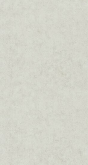 Caselio Beton 2 BTO101489050 - Grijs Behang