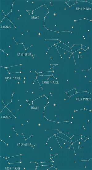 Caselio Our Planet OUP101916003 - Blauw Behang