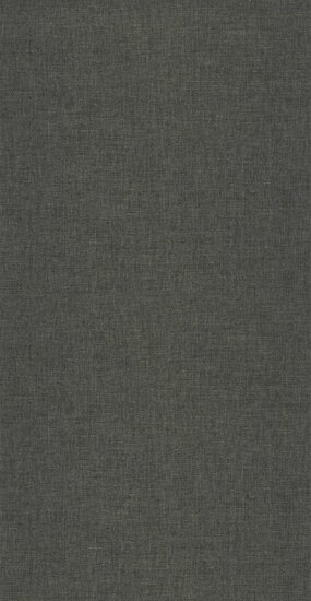 Caselio XXL XXL103239022 - Zwart Behang