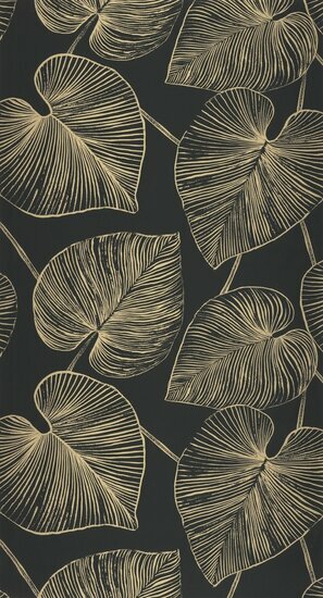 Caselio XXL XXL104539021 - Zwart Behang