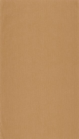 Caselio Moonlight 2 MLGT101572490 - Bruin Behang