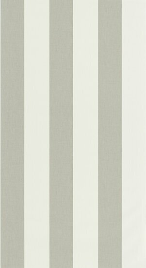 Caselio Basics BAI104049169 - Grijs Behang