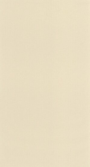 Caselio Basics BAI64522220 - Beige Behang