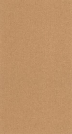 Caselio Basics BAI64522578 - Bruin Behang