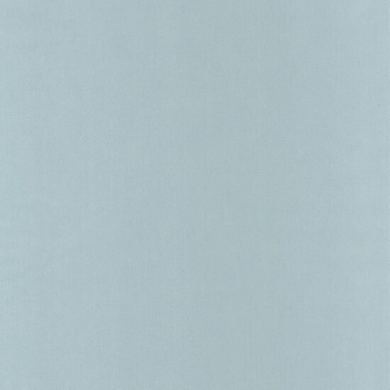 Caselio Basics BAI64529200 - Grijs Behang