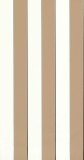 Caselio Basics BAI101070217 - Bruin Behang